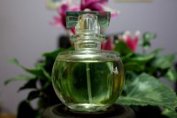 Perfume 204