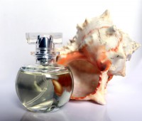 Perfume 209