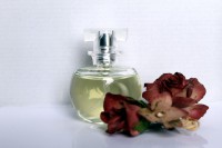 Perfume 216
