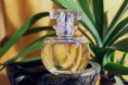 Perfume 203