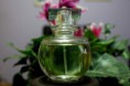 Perfume 204